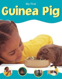 Guinea Pig (My First Pet)