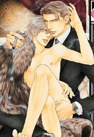 Finder Volume 6: Passion Within The Viewfinder (Yaoi Manga)