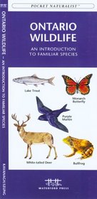 Ontario Wildlife: An Introduction to Familiar Species (Pocket Naturalist - Waterford Press)