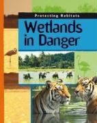 Wetlands in Danger (Protecting Habitats)