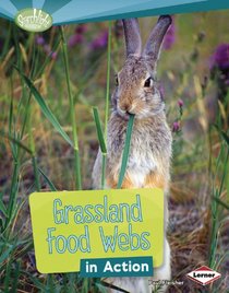 Grassland Food Webs in Action (Searchlight Books) (Searchlight Books: What Is a Food Web?)