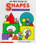 My First Book of Shapes: With Lift-Up Flaps And A Pop-Up, Too!