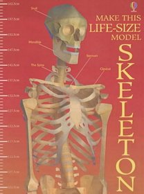 Make This Cut-out Skeleton (Cut Outs)