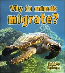 Why Do Animals Migrate? (Big Science Ideas)