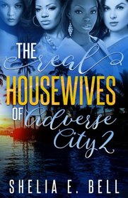 The Real Housewives of Adverse City 2 (Volume 2)