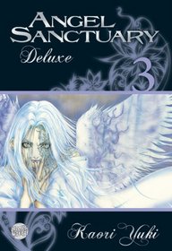 Angel Sanctuary Deluxe 03
