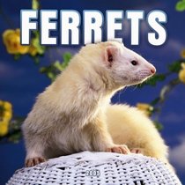 Ferrets 2005 Wall Calendar