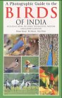 A Photographic Guide to the Birds of India (Helm Field Guides)