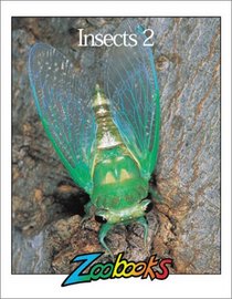 Insects 2 (Zoobooks)
