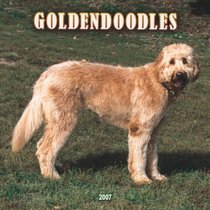 Goldendoodles 2007 Calendar