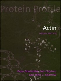 Actin (Protein Profile (Unnumbered).)