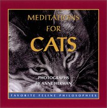 Meditations For Cats