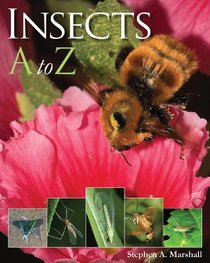 Insects A to Z (A to Z (Firefly Books Paperback))