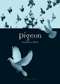Pigeon (Reaktion Books - Animal)