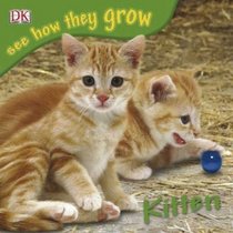 See How They Grow - Kitten (Spanish Edition)