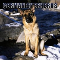 German Shepherds 2005 Wall Calendar