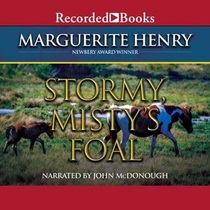 Stormy, Misty's Foal (Misty, Bk 3) (Audio CD) (Unabridged)