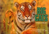 Big Cats: A Postcard Book