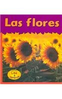 Las Flores/Flowers (Plantas/Plants)