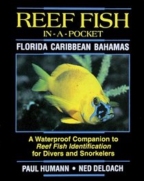 Reef Fish In A Pocket - Caribbean