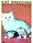 Cat Breeding