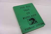 The Big Tree of Bunlahy: Stories of My Own Countryside