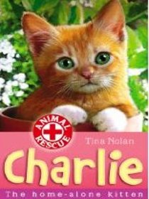 Charlie: The Home-Alone Kitten (Animal Rescue)