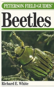 Beetles: A Field Guide to the Beetles of North America (Peterson Field Guides (Paperback))