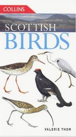 Scottish Birds (Collins Guide)