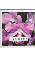 Orchids (Let's Investigate. Plants) (Let's Investigate. Plants)