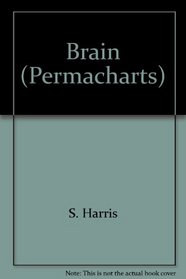 Brain (Permacharts)