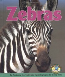 Zebras (Early Bird Nature Books)