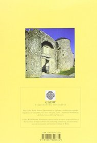 Gower: A Guide to Ancient and Historic Monuments on the Gower Peninsula (CADW Guidebooks)
