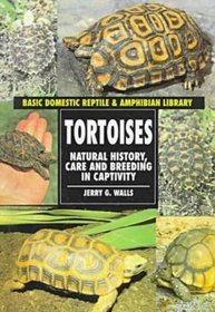 Tortoises (Basic Domestic Reptile  Amphibian Library)