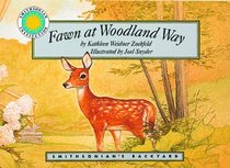 Fawn at Woodland Way (Smithsonian's Backyard Series Book & Plush Toy)