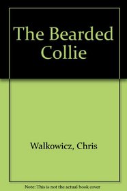 Bearded Collie