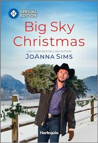 Big Sky Christmas (The Brands of Montana, 15)