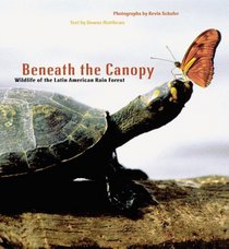 Beneath the Canopy: Wildlife of the Latin American Rainforest