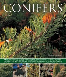 Conifers: An Illustrated Guide to Varieties, Cultivation and Care, with Step-by-Step Instructions and Over 160 Beautiful Photographs