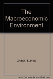 The Macroeconomic Environment