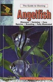 The Guide to Owning Angelfish (Aquatic)