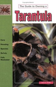 The Guide to Owning a Tarantula (Guide to Owning)