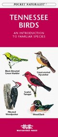 Tennessee Birds: An Introduction to Familiar Species (Pocket Naturalist)