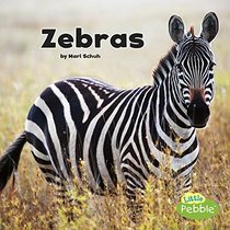 Zebras (Black and White Animals)
