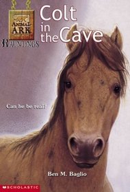 Colt in the Cave (Animal Ark Hauntings, Bk 4)