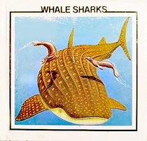 Whale Sharks (Whale Discovery Library)