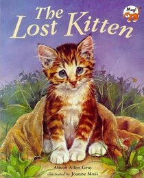 The Lost Kitten!
