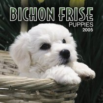Bichon Frise Puppies 2005 Mini Wall Calendar