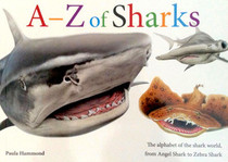 A-Z of Sharks: The Alphabet of the Shark World