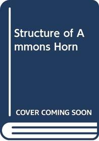 Structure of Ammons Horn